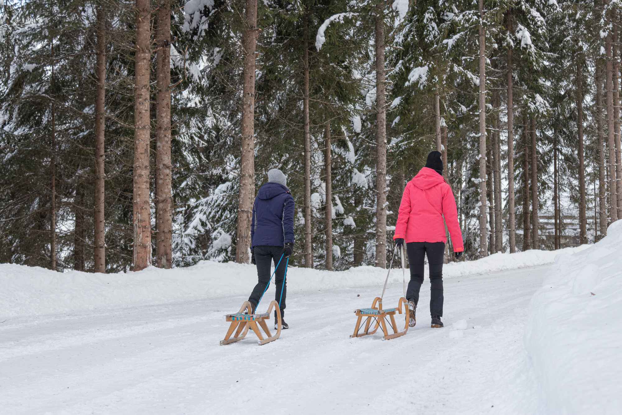 Zwei Personen ziehen den Schlitten durch den verschneiten Wald