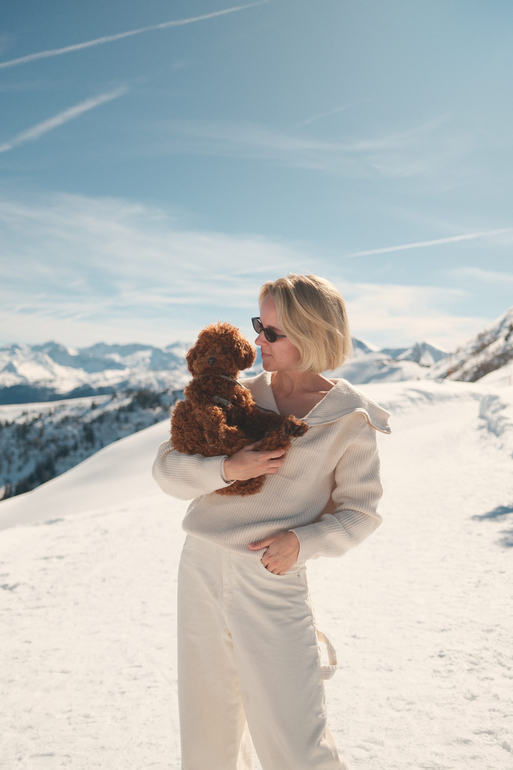 Großarltal Hund im Winter am Berg