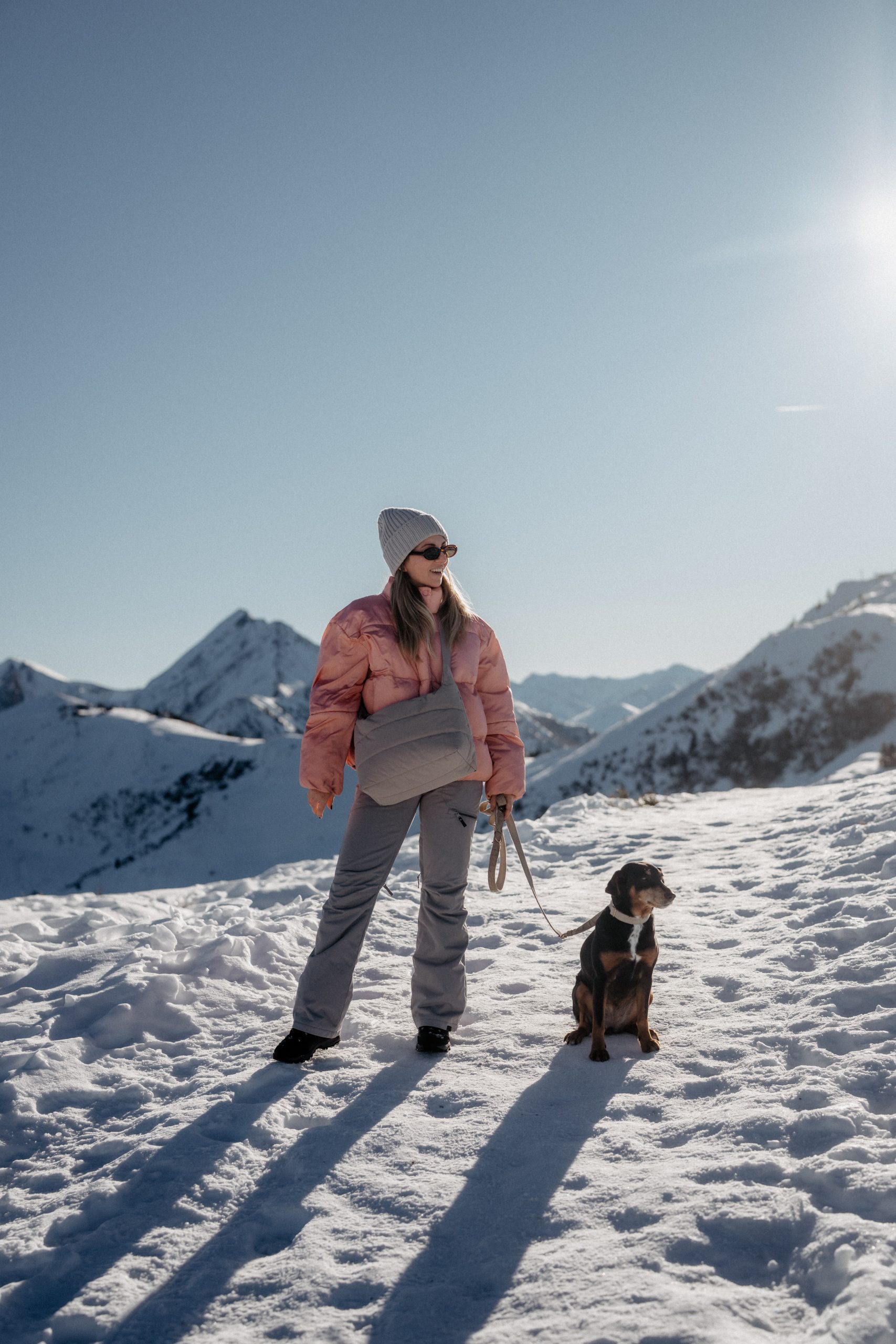 Hund Winter Berge